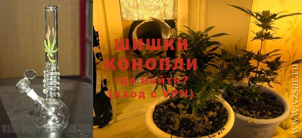 стафф Алексин