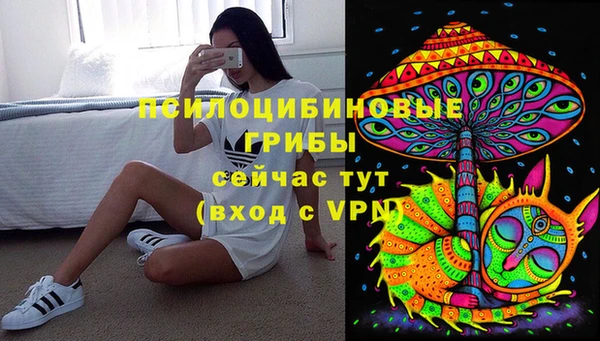 шишки Алзамай