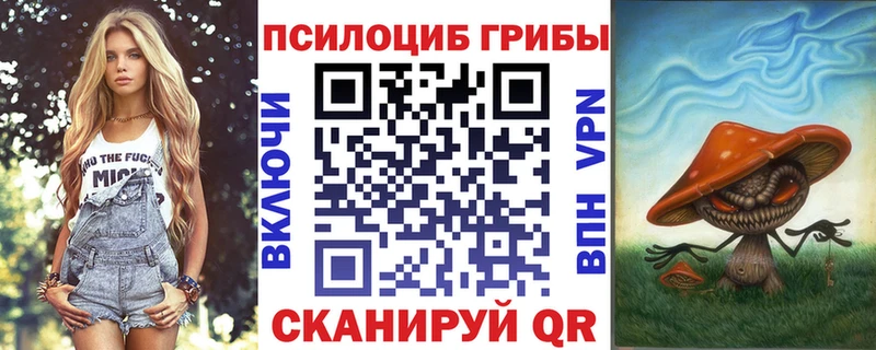 Галлюциногенные грибы Magic Shrooms  Купить где  Сураж 