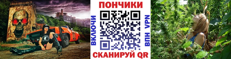 Бошки Шишки индика  Купить закладки  Сураж 